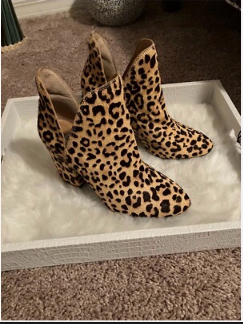 Steve Madden Leopard-Print Ankle Booties in Tan and Black